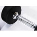 Гантели в уретане 3 кг Live Pro Studio Dumbbells LP8075-03 75_75